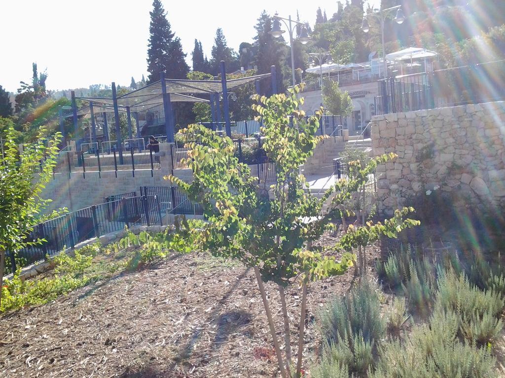 Rosary Sister Guest House Ein Karem Jerusalem Exterior foto