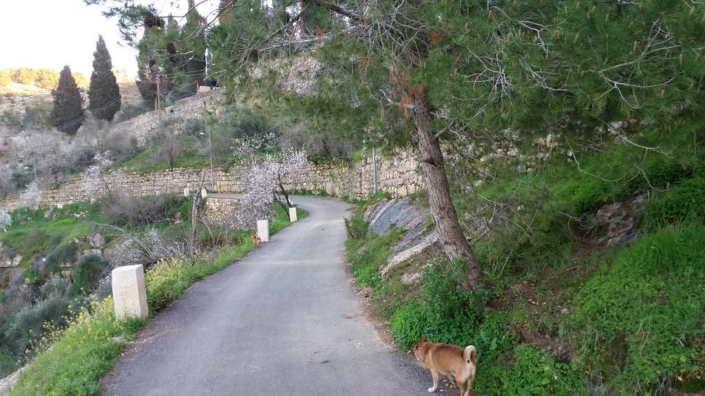 Rosary Sister Guest House Ein Karem Jerusalem Exterior foto