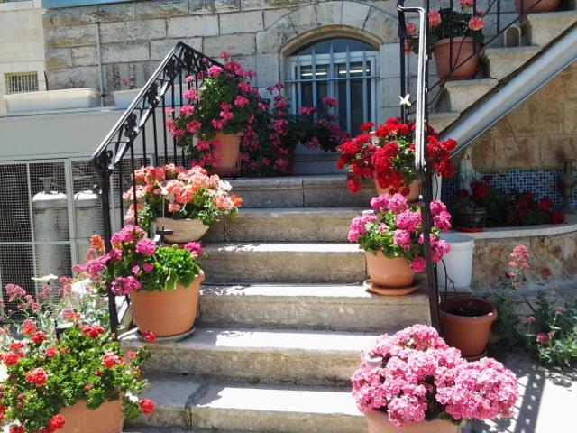 Rosary Sister Guest House Ein Karem Jerusalem Exterior foto